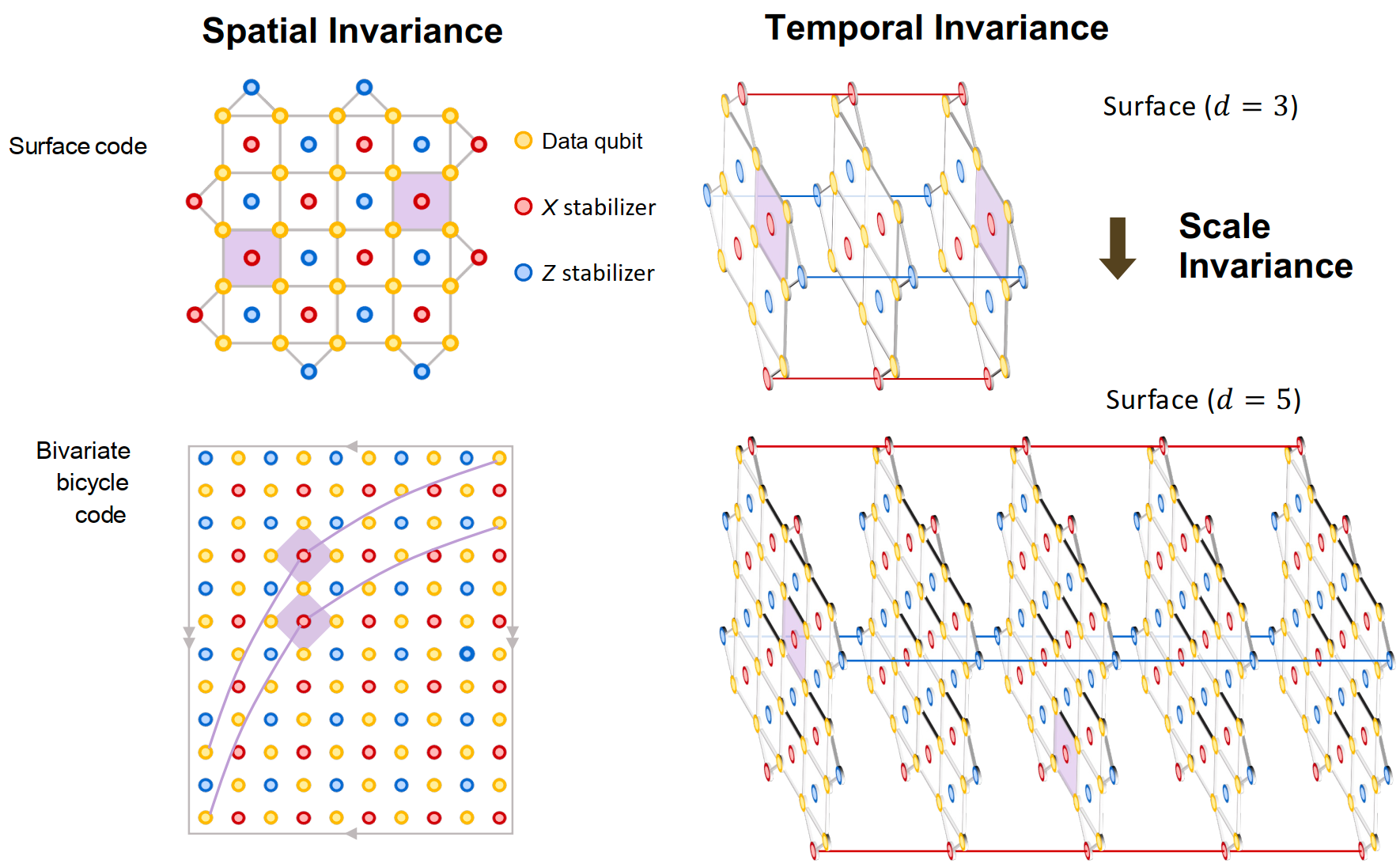 Scale invariance in QEC codes